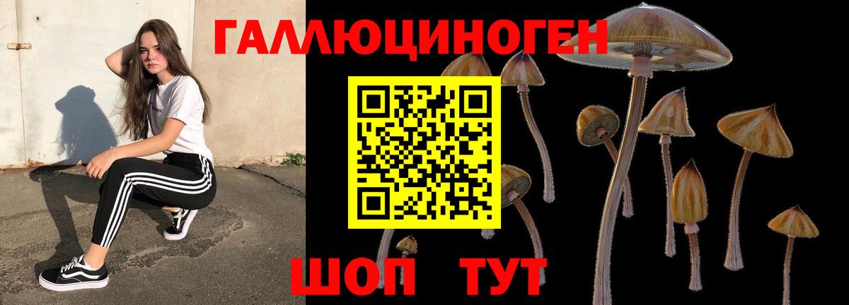 Кингисепп  Псилоцибиновые грибы MAGIC MUSHROOMS  Вход с VPN 